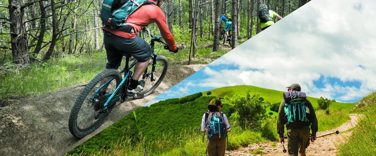 BIKE & TREKKING

Ideale punto di partenza e ristoro per te che ami mountain-bike, ciclismo e trekking. Da qui puoi percorrere itinerari e sentieri lungo le strade del Duca, tra Catria e Nerone, tra Carpegna e Mondavio fino all'Alpe della Luna

PASSIONE BIKE